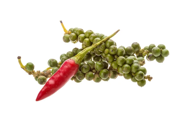 Kampot pepper — Stock Photo, Image