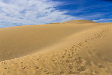 Maspalomas Duna