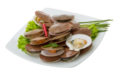 ham taze deniz tarağı