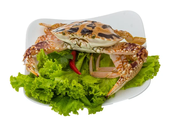 Raw red crab — Stock Photo, Image