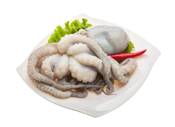 Ruwe octopus — Stockfoto