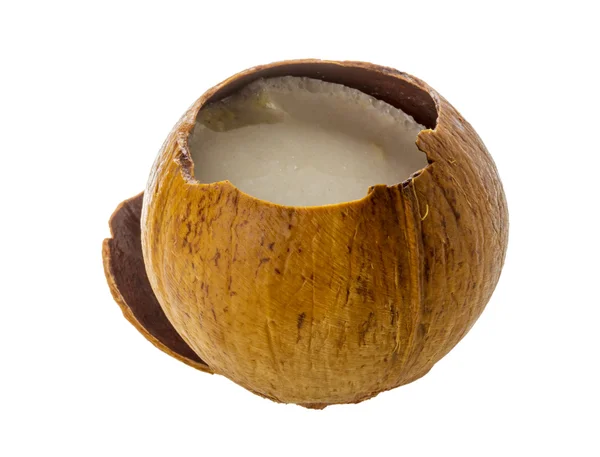 Coconut — Stock Photo, Image