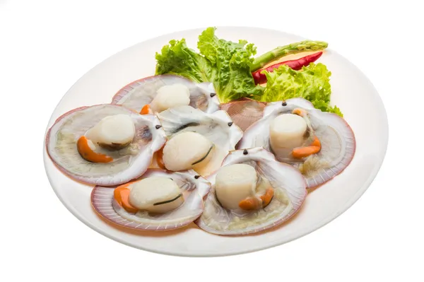 Raw fresh scallop — Stock Photo, Image