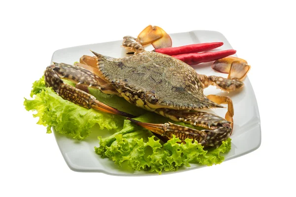 Rå krabba — Stockfoto