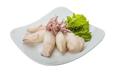 haşlanmış kalamar