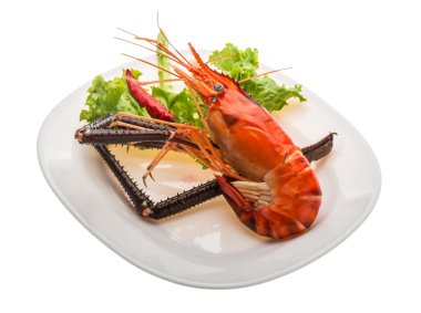 dev tatlı su karides