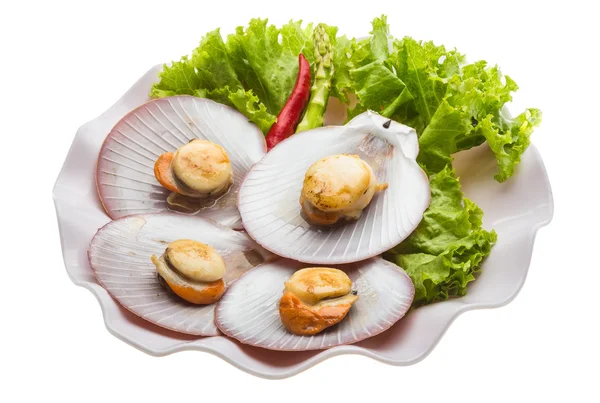 Grilled scallops — Stock Photo, Image