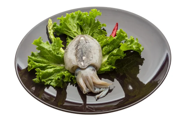 Raw cuttlefish — Stock Photo, Image