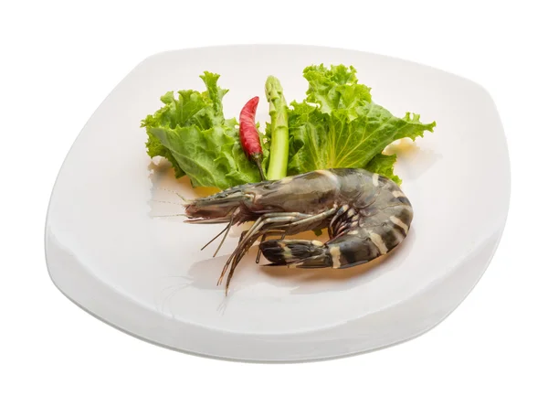 Langostino tigre — Foto de Stock