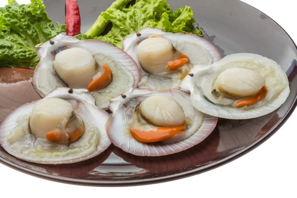 Raw fresh scallop — Stock Photo, Image