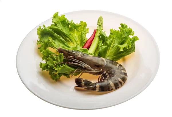 Tiger prawn — Stock Photo, Image