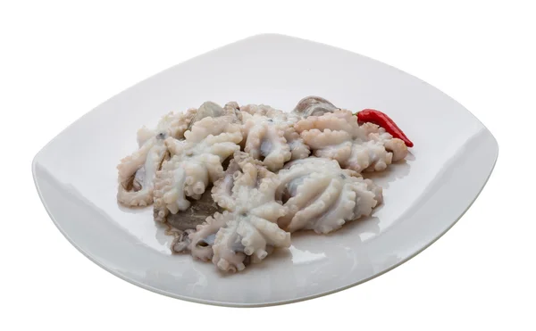 Pulpo crudo — Foto de Stock