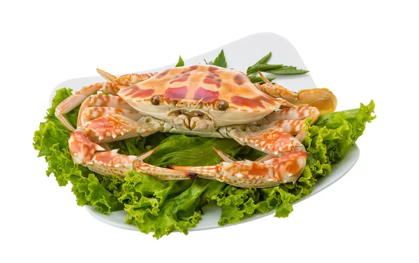 Boiled crab — Stock Photo, Image