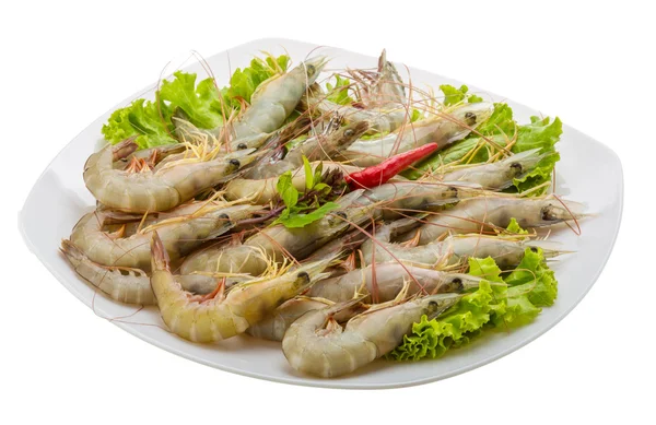 Raw tiger shrimps — Stock Photo, Image