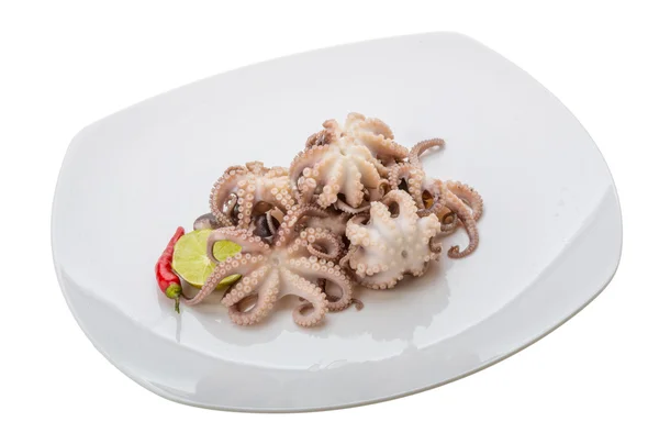 Boiled octopus — Stock Photo, Image