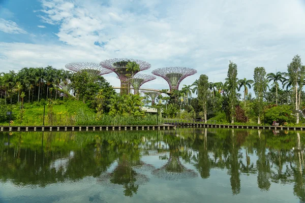 Jardins au bord de la baie, Singapour — Photo