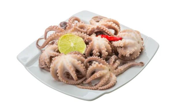 Boiled octopus — Stock Photo, Image