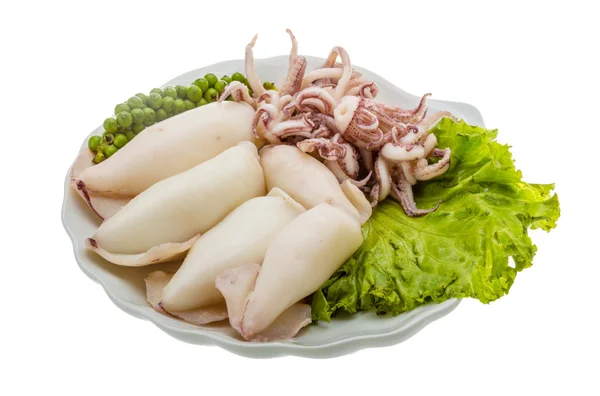 Boiled squid — Stock Photo, Image