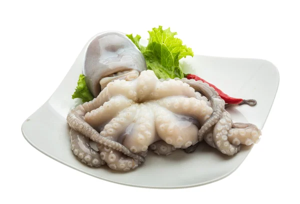 Raw octopus — Stock Photo, Image