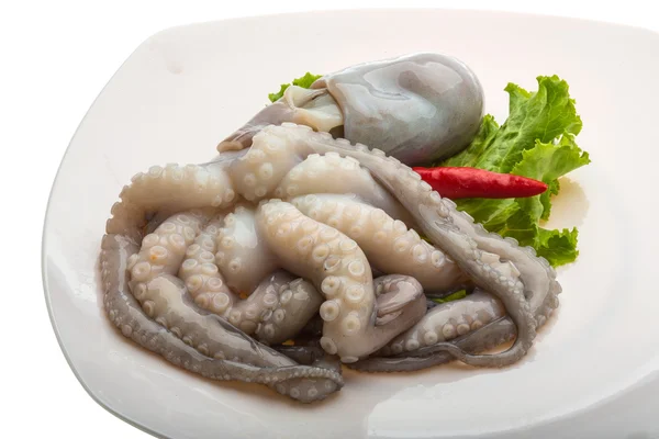 Raw octopus — Stock Photo, Image