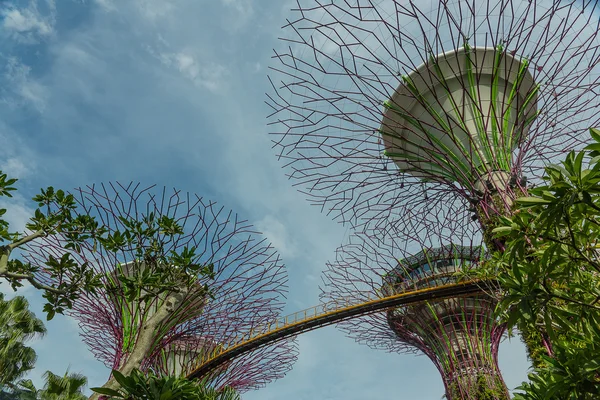 Gardens by the Bay, Сингапур — стоковое фото