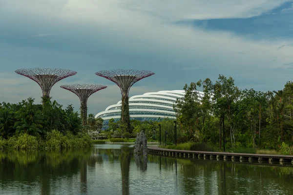 Giardini vicino alla baia, Singapore — Foto Stock