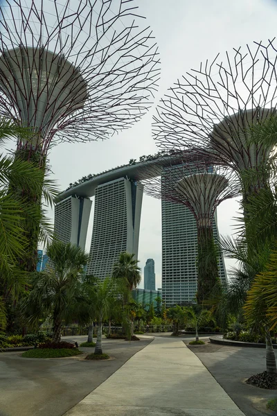 Gardens by the Bay, Singapore — Stock Photo, Image