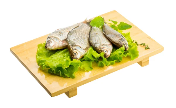 Pesce crociato — Foto Stock