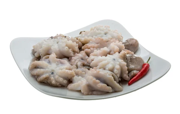 Pulpo crudo — Foto de Stock