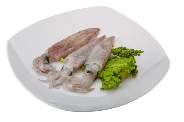 Rohe Tintenfische — Stockfoto