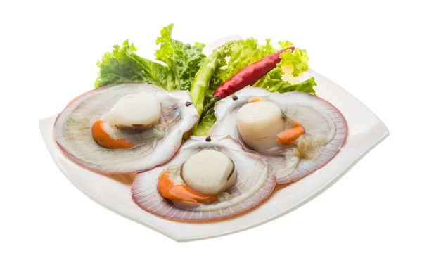 Raw fresh scallop — Stock Photo, Image