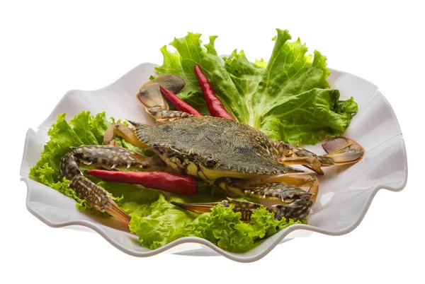 Raw crab — Stock Photo, Image