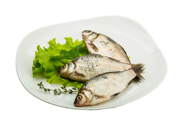 Crucian fish — Stock Photo, Image