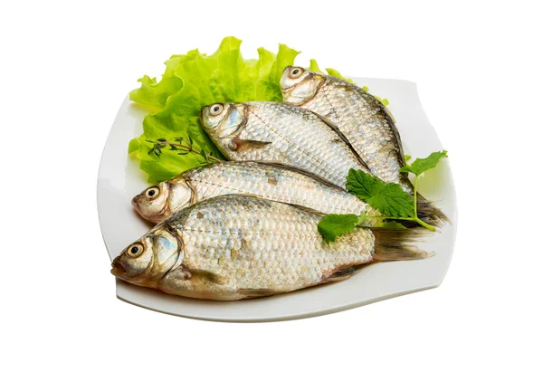 Pesce crociato — Foto Stock