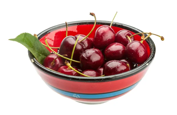 Gean - cherry — Stockfoto