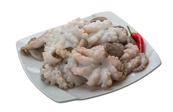 Raw octopus — Stock Photo, Image