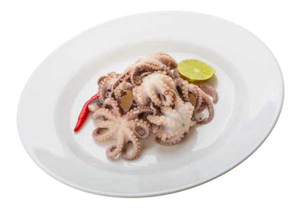 Vařená chobotnice — Stock fotografie
