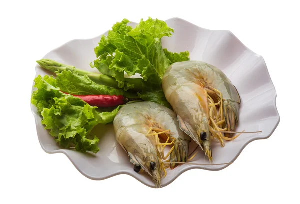 Langostino tigre — Foto de Stock