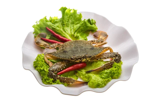 Raw crab — Stock Photo, Image