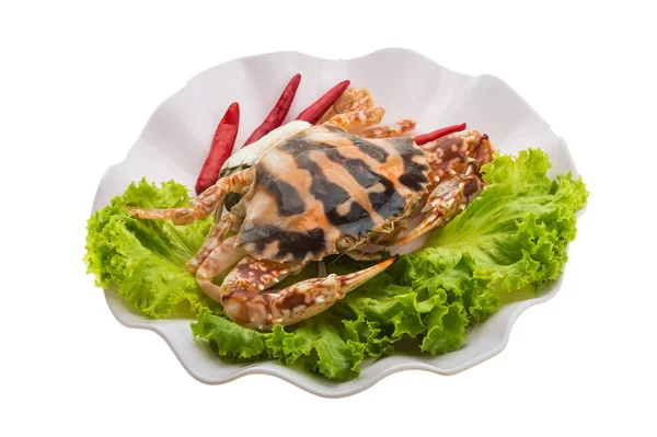 Red crab — Stock Photo, Image
