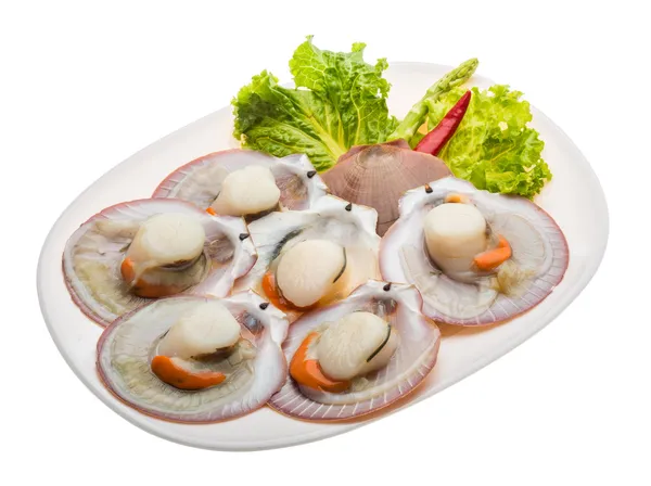 Raw fresh scallop — Stock Photo, Image