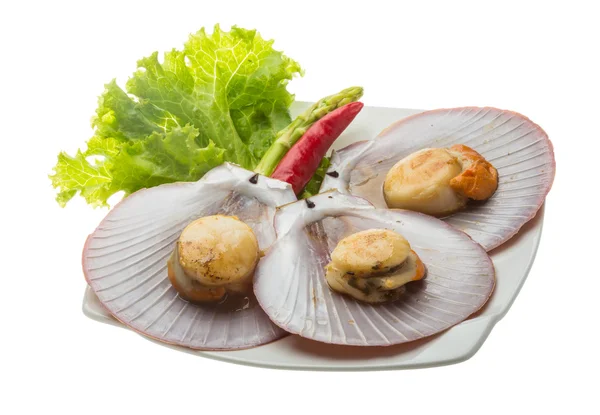 Grillade kammusslor — Stockfoto