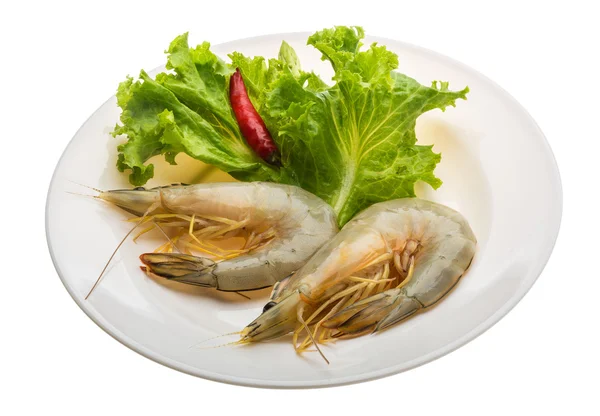 Langostino tigre — Foto de Stock