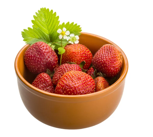 Fragole mature — Foto Stock