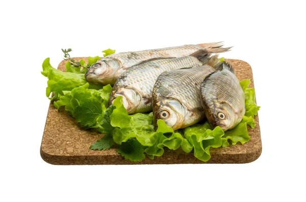 Pesce crociato — Foto Stock