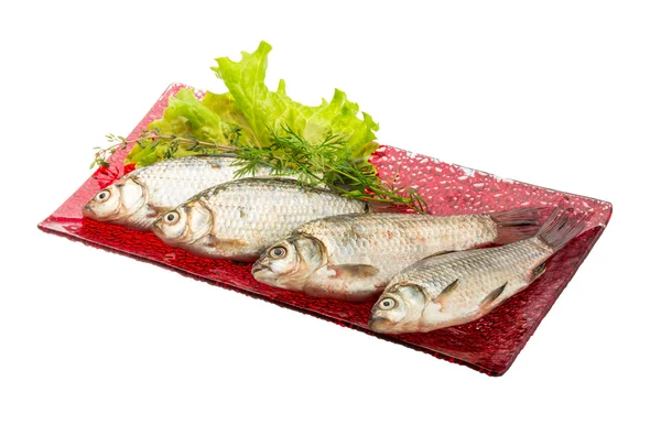 Pesce crociato — Foto Stock