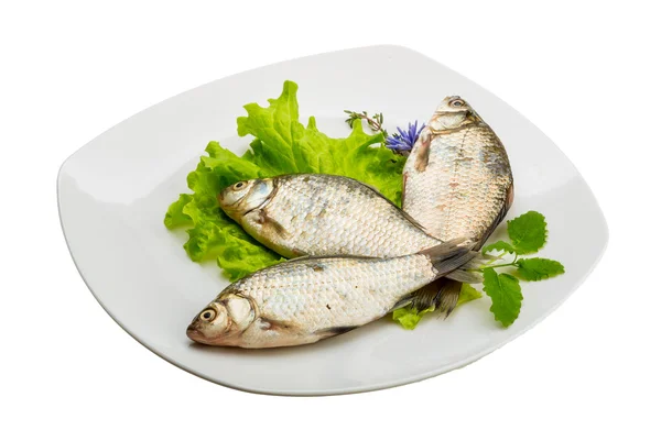 Pesce crociato — Foto Stock