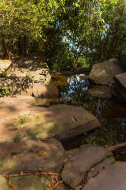 Kamboçya'da şelale