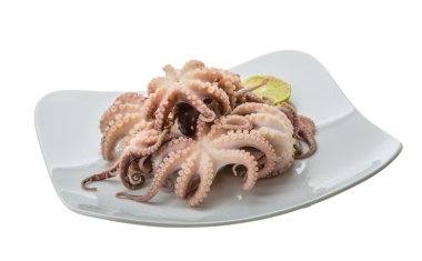 haşlanmış ahtapot