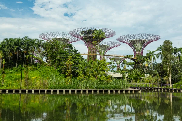 Gardens by the Bay — Stock Photo, Image